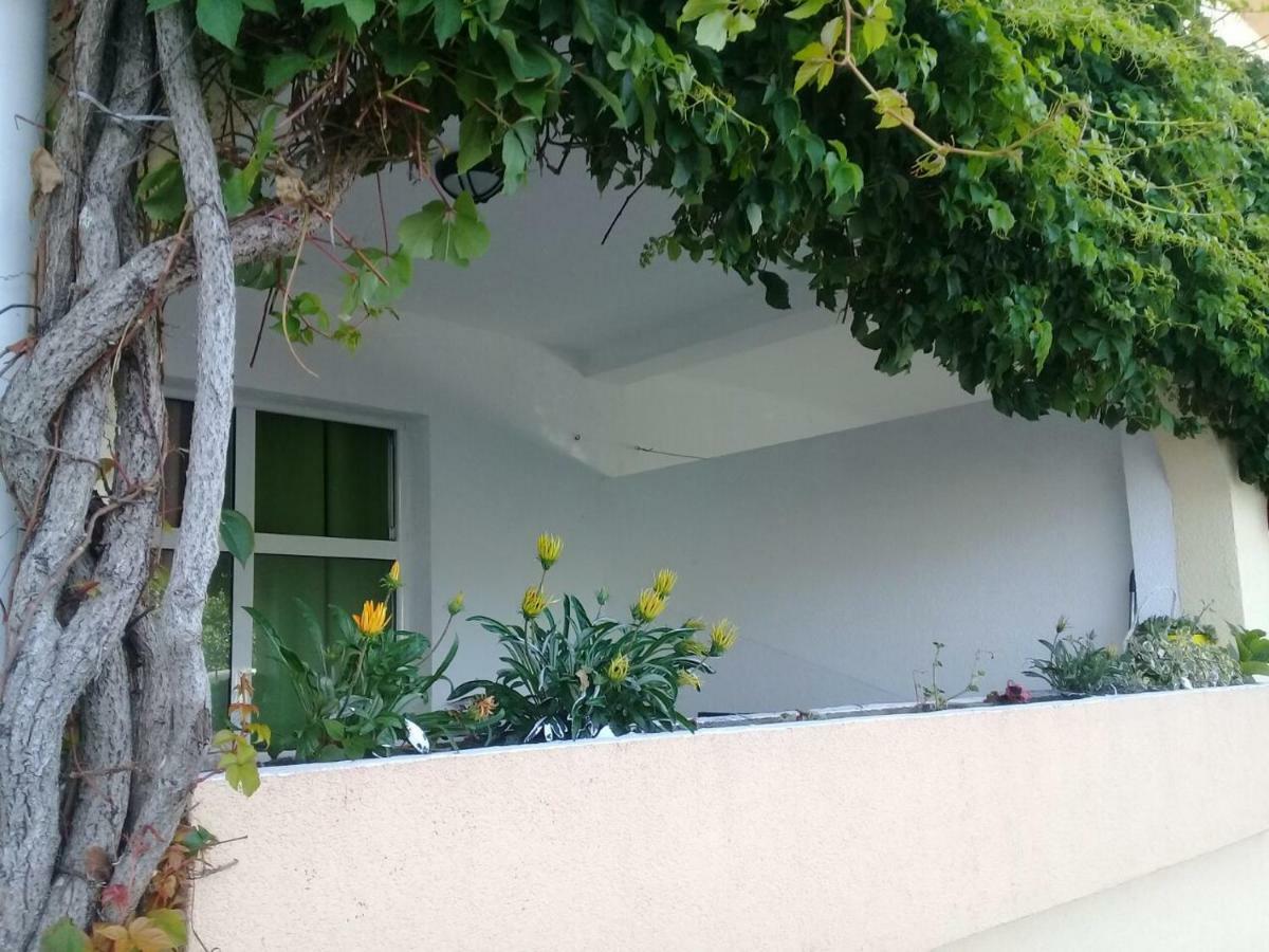 Montenegrina Apartment Budva Ngoại thất bức ảnh